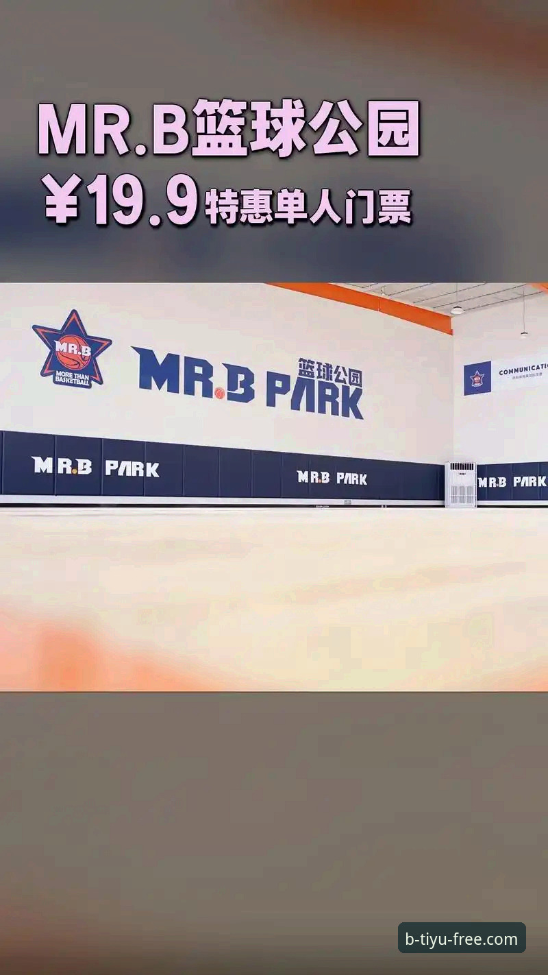 b体育平台实用指南：免费下载与安全安装的必备知识