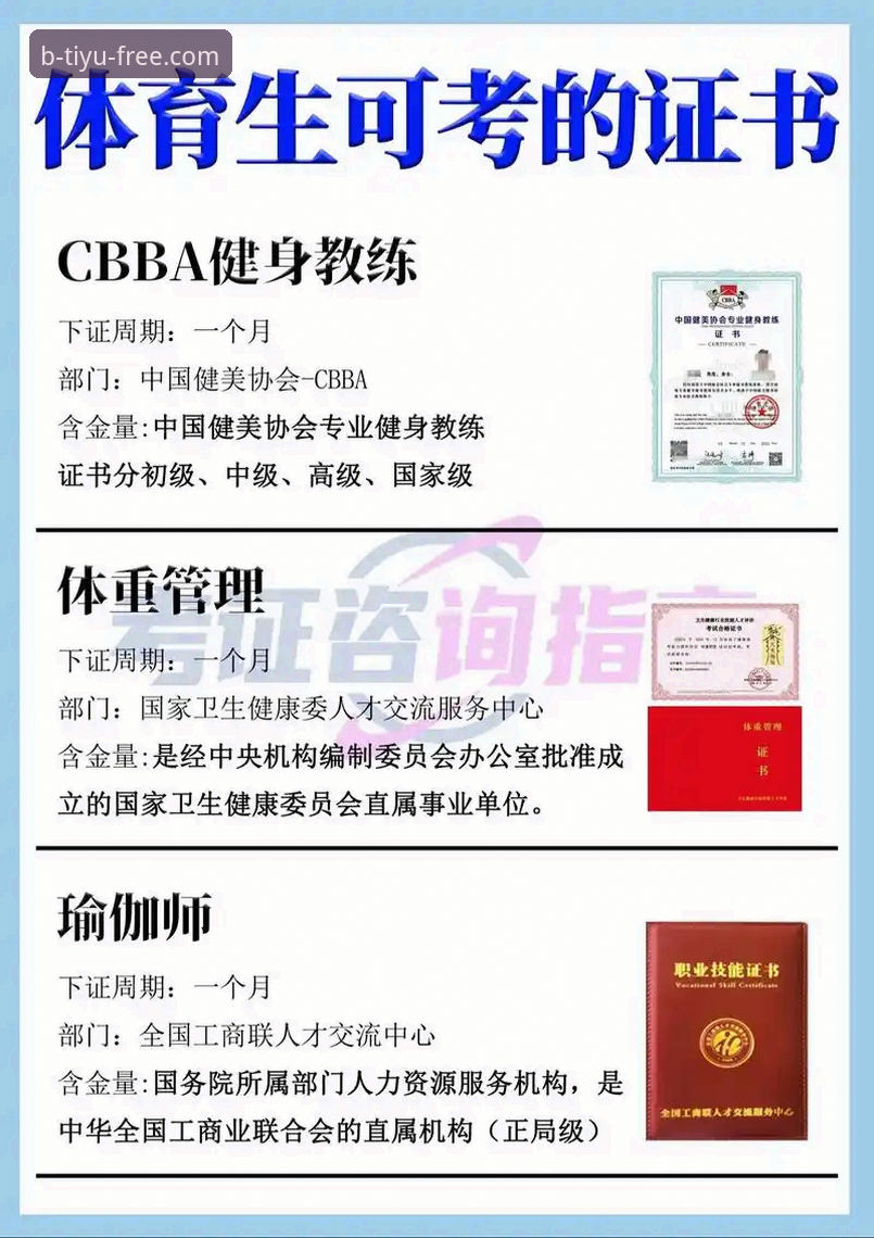 B体育平台安卓版功能实用指南：从下载到智能投注的全流程解析