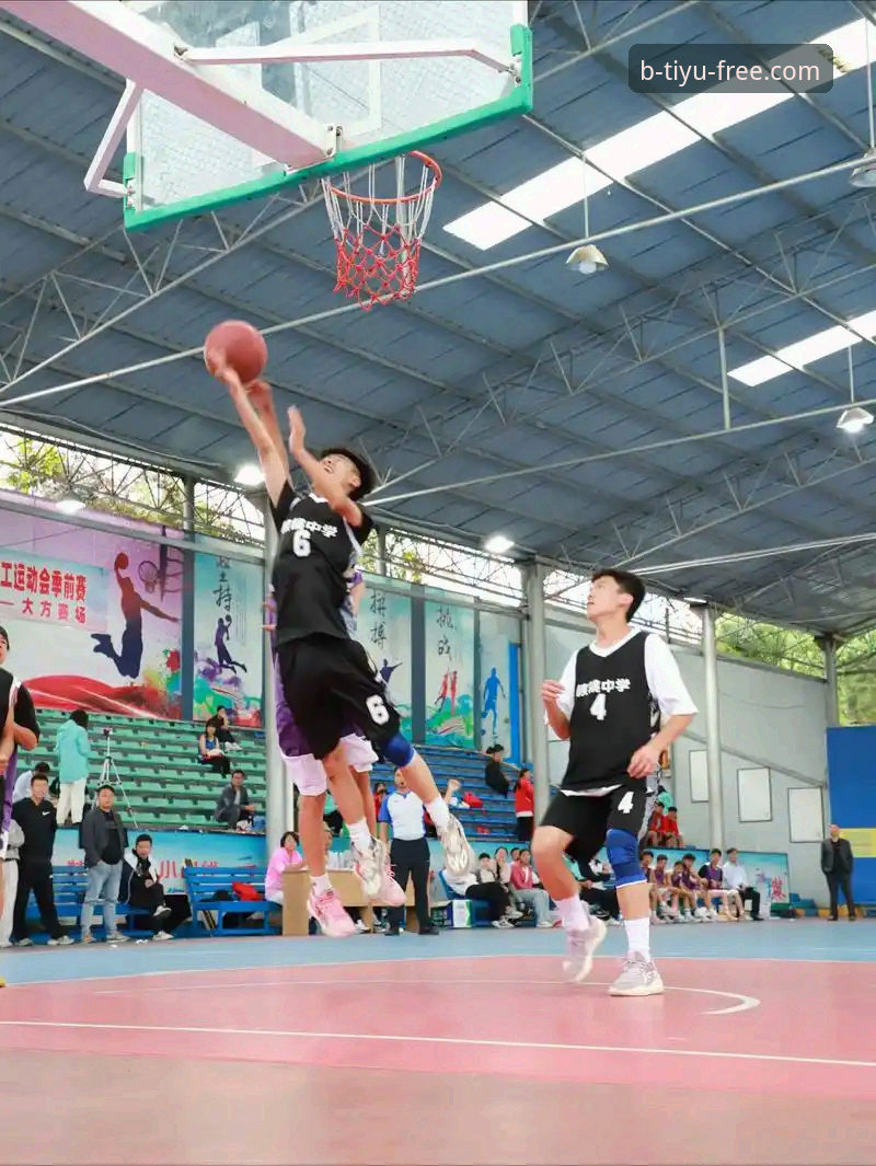 B体育平台体育赛事对比深度分析：如何选择适合你的竞技项目